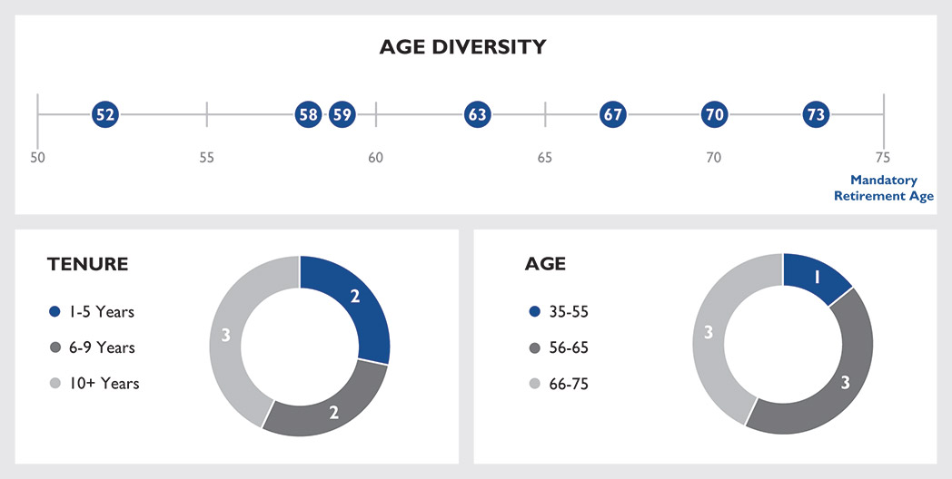 [MISSING IMAGE: pc_agediversity-pn.jpg]